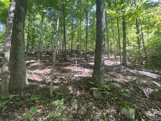 0 High Knob Road Elizabethtown, IL 62931 - Photo 10 of 14