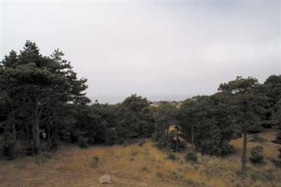 40187 Back Pack The Sea Ranch, CA 95497 - Photo 10 of 12 Gallery Image 10