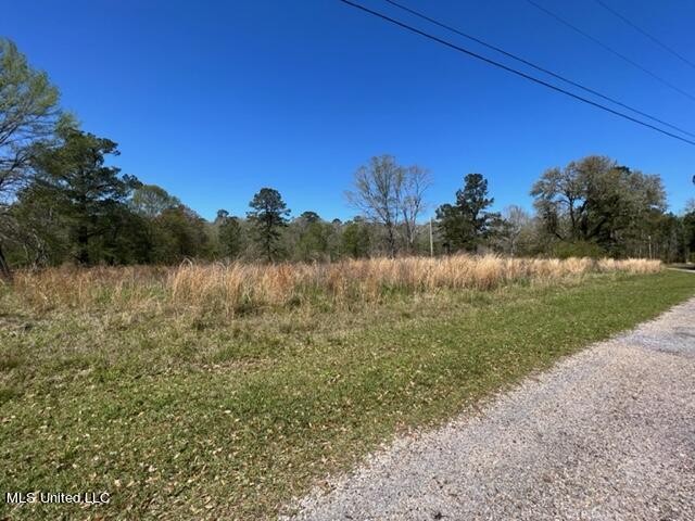 Dunhurst Long Road Picayune, MS 39466 - Photo 1 of 4 Front View of Property