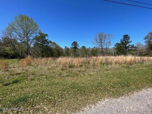 Dunhurst Long Road Picayune, MS 39466 - Photo 2 of 4 DUNHURST LONG RD 2