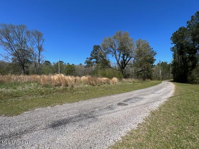 Dunhurst Long Road Picayune, MS 39466 - Photo 3 of 4 DUNHURST LONG RD 3