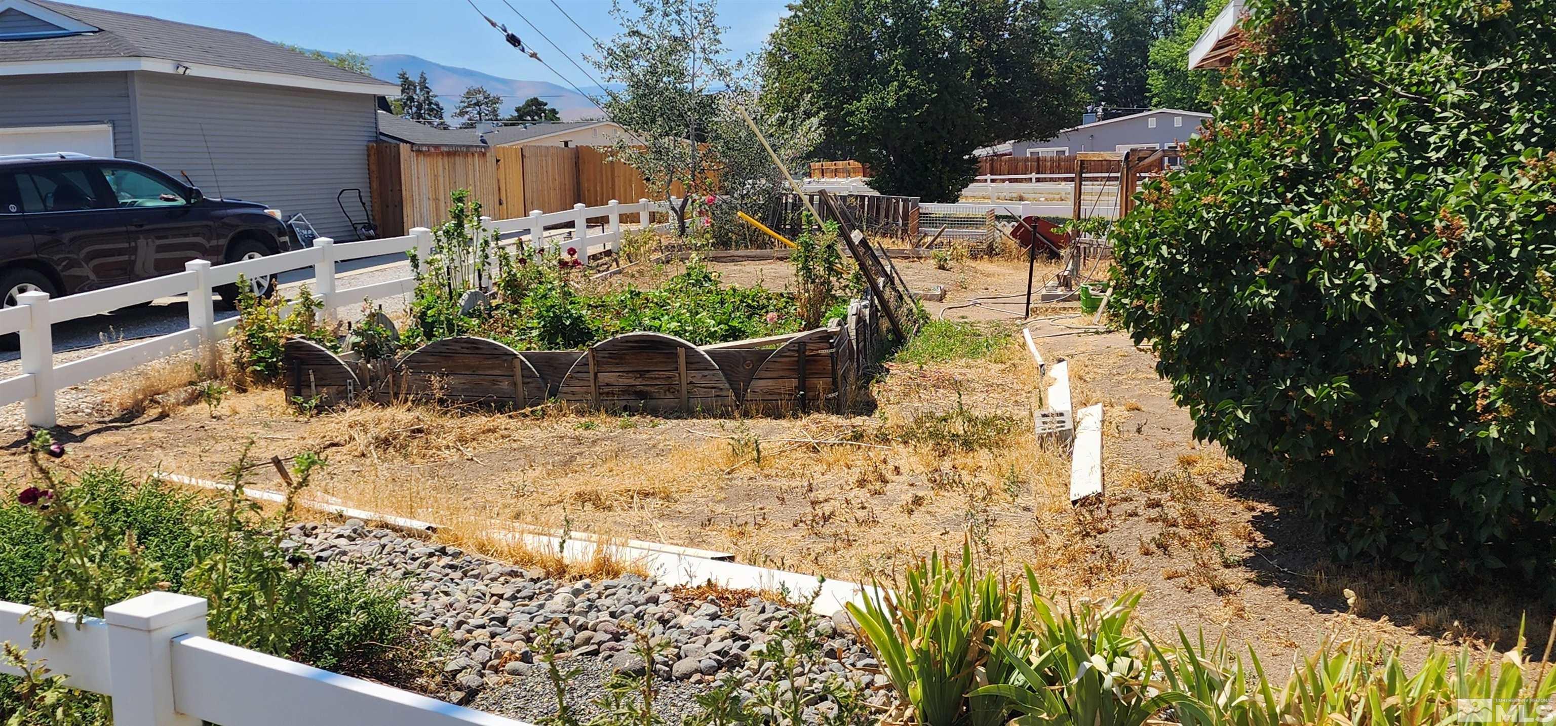 5330 Teton Street Reno, NV 89506 - Photo 10 of 11 a view of a yard with plants