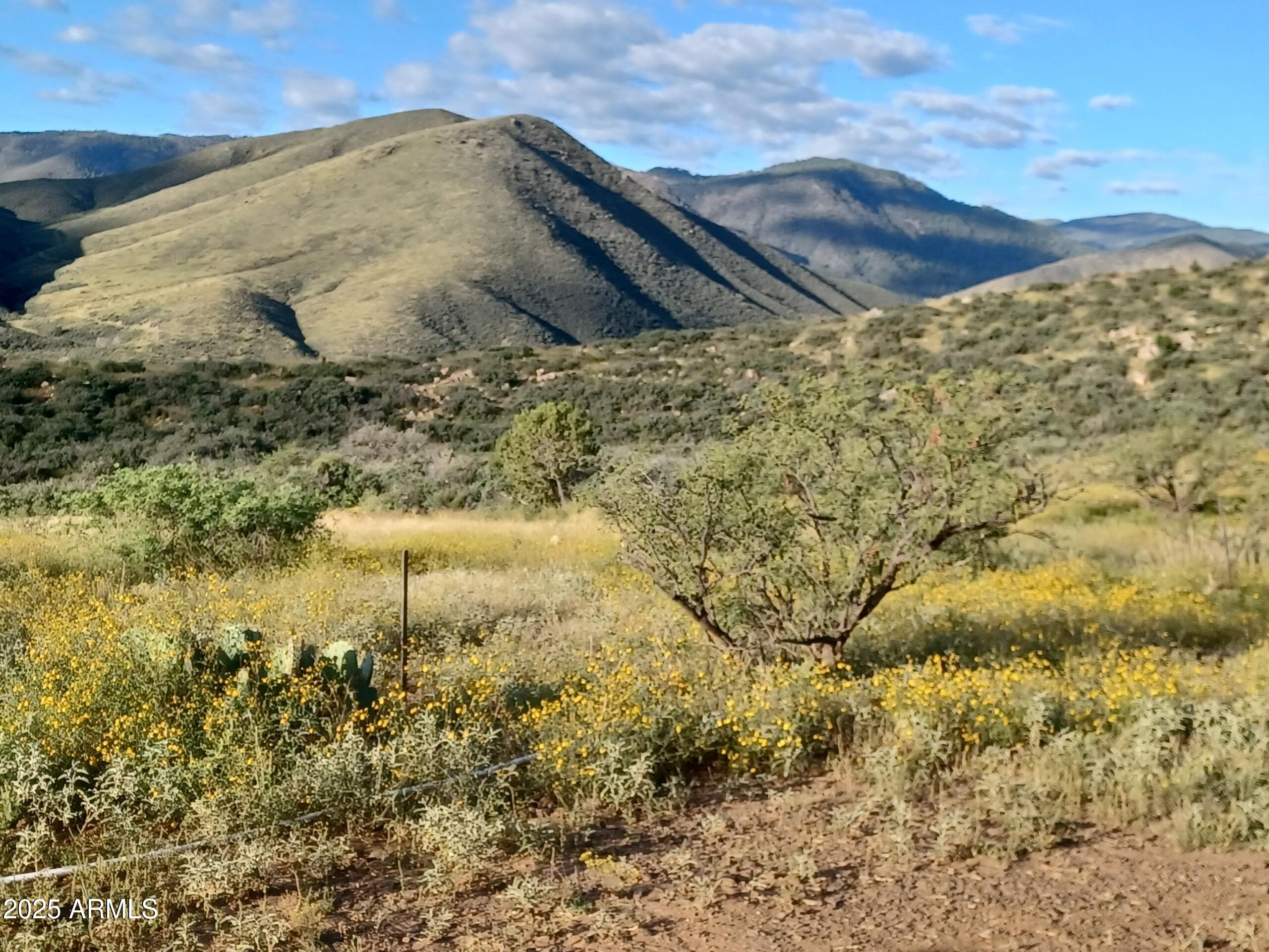 5668 Miners Pick Road Mayer, AZ 86333 - Photo 22 of 39 MSNC4336