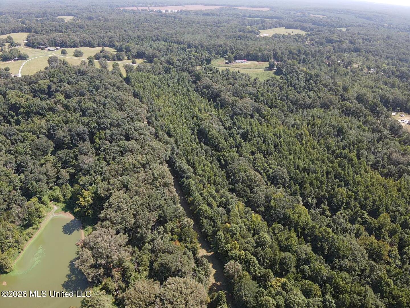 Wildwood Road Vaughan, MS 39179 - Photo 4 of 51 2026-07-28-10-58-39-092