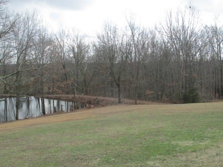 65 Napier Road Scottsville, KY 42164 - Photo 10 of 31 Gallery Image 10