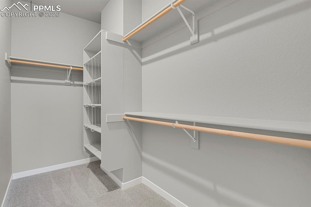 5353 Freeboot Point Colorado Springs, CO 80922 - Photo 19 of 28