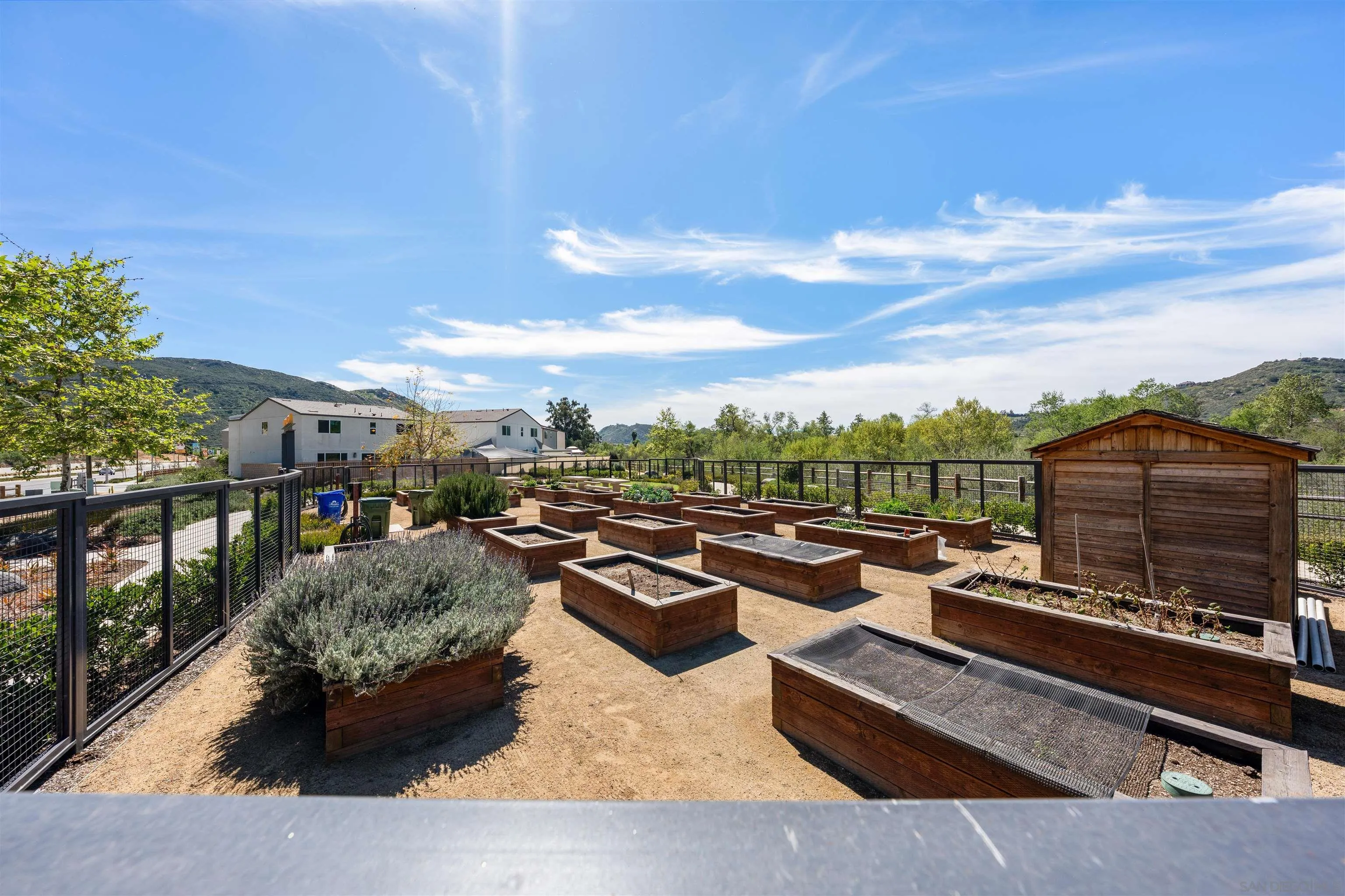 35172 Bergamot Cove Fallbrook, CA 92028 - Photo 47 of 62