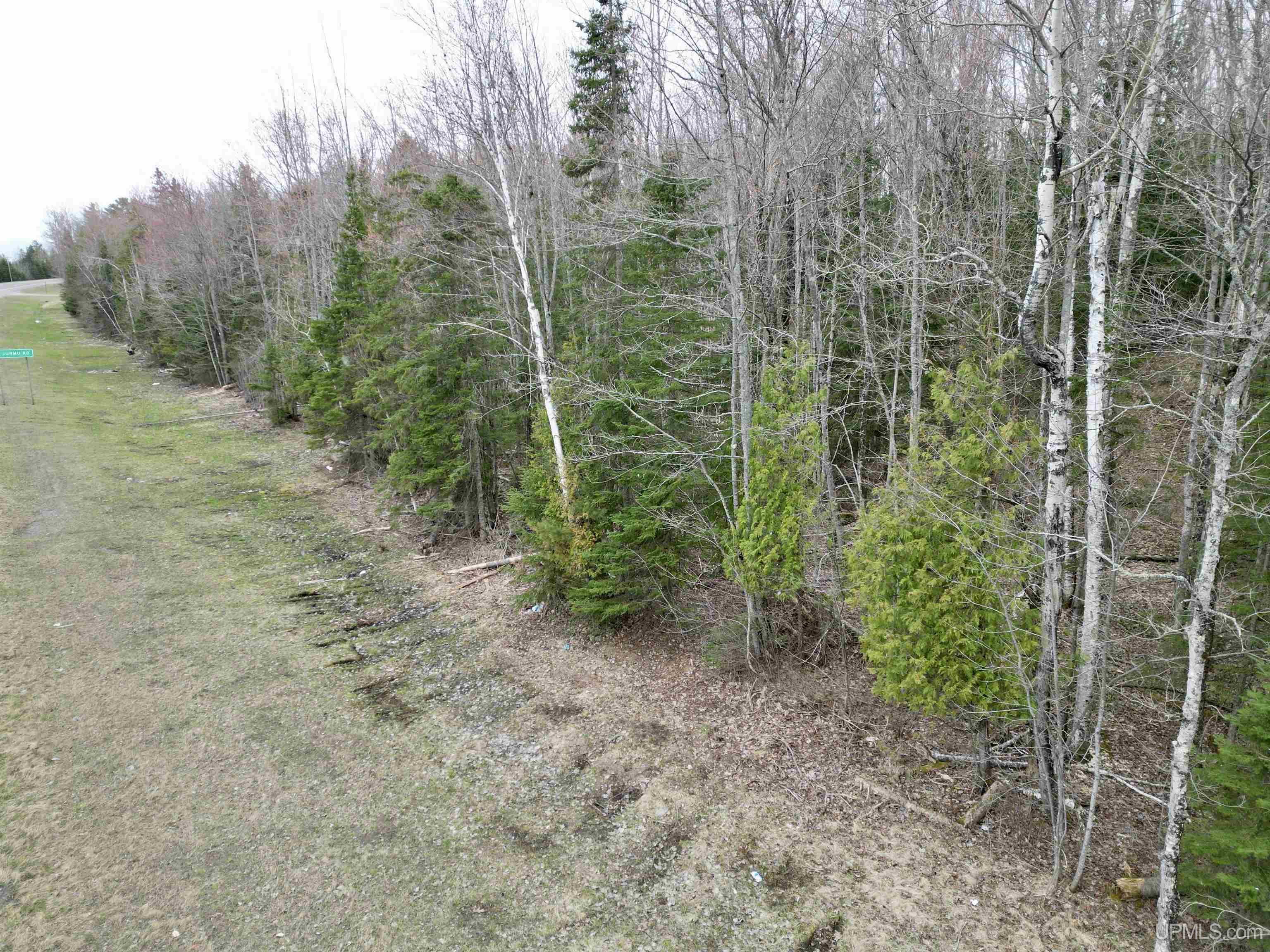 Tbd Tbd Us 41/beartown Road Baraga, MI 49908 - Photo 17 of 17
