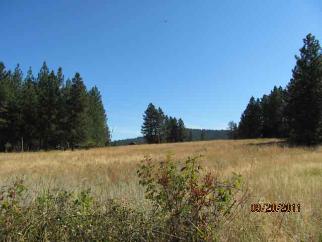 7520 North Forker Road Spokane, WA 99217 - Photo 7 of 9