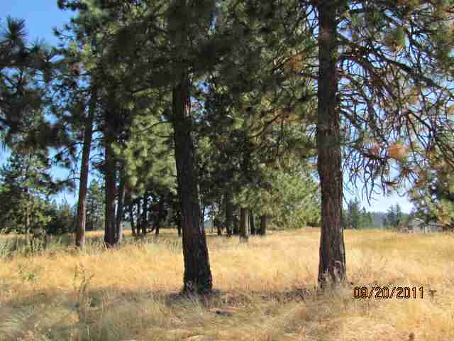 7520 North Forker Road Spokane, WA 99217 - Photo 8 of 9