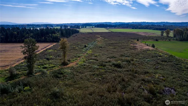 $1,600,000 | 0 Willeys Lake Road, Custer, WA 98240
