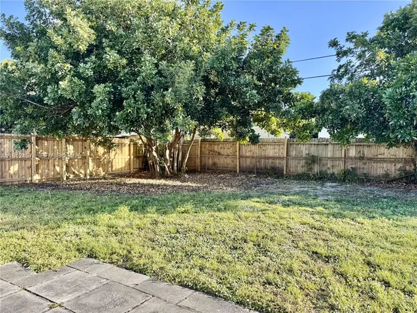 a view of a yard with a tree