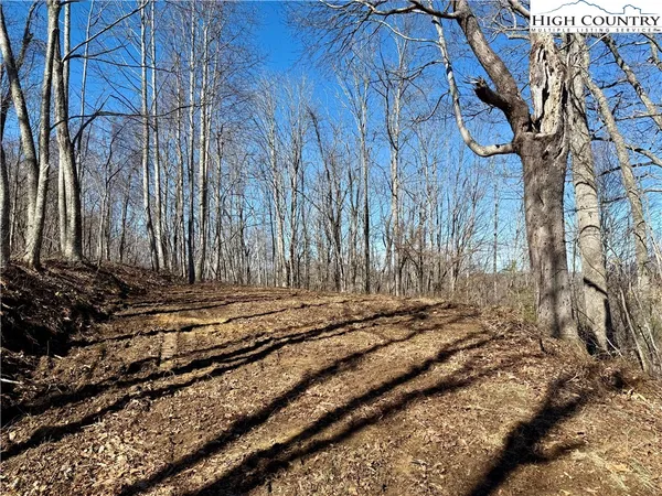 a view of a backyard of the house