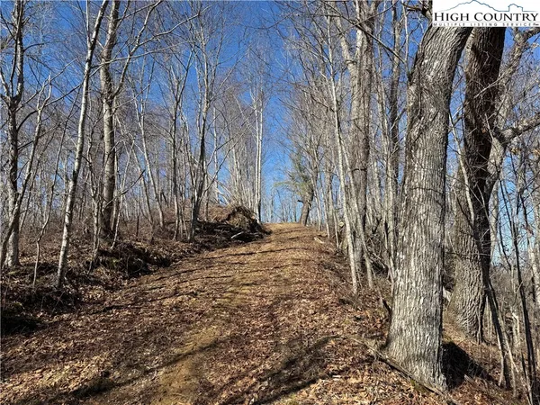 a view of a backyard of the house