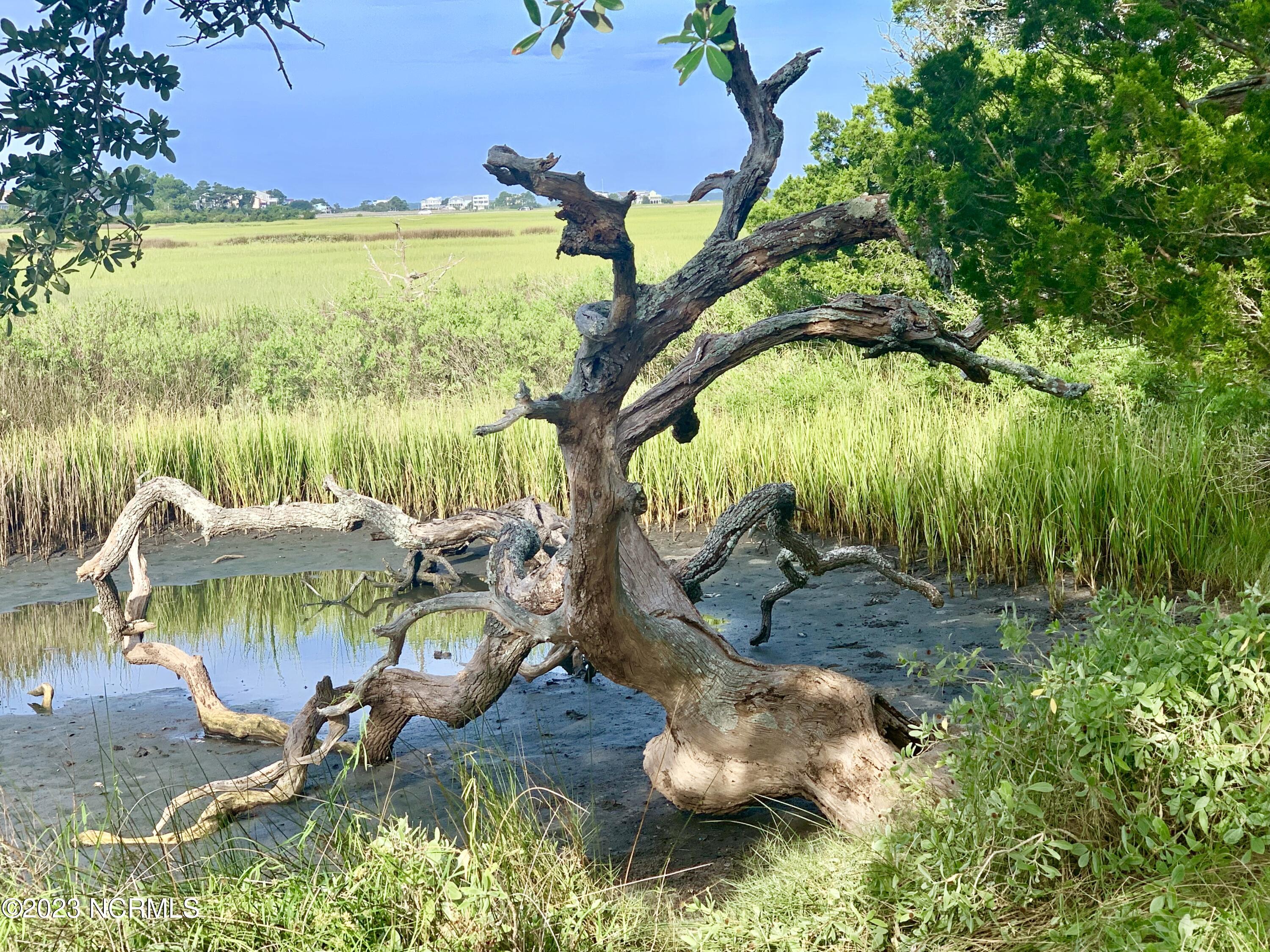 1532 Riverside Drive Sunset Beach, NC 28468 - Photo 23 of 26 OC from Walkway Low tide