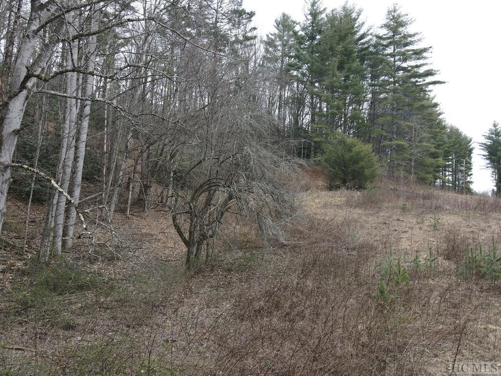 Tbd Pine Creek Road Cullowhee, NC 28723 - Photo 45 of 51 Gallery Image 45