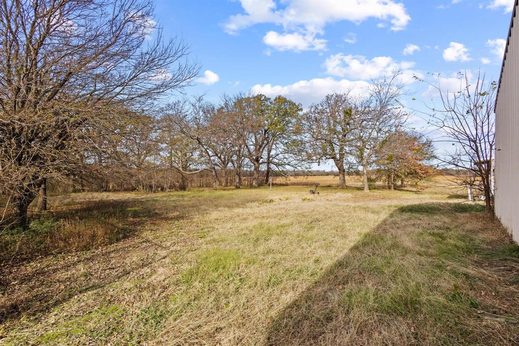 1841 County Road Honey Grove, TX 75446 - Photo 28 of 32 a view of yard with green space