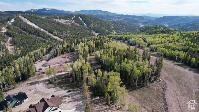 1 Elk, Unit 1 Beaver, UT 84713 - Photo 8 of 8 Drone / aerial view with a wooded view and a mountain view