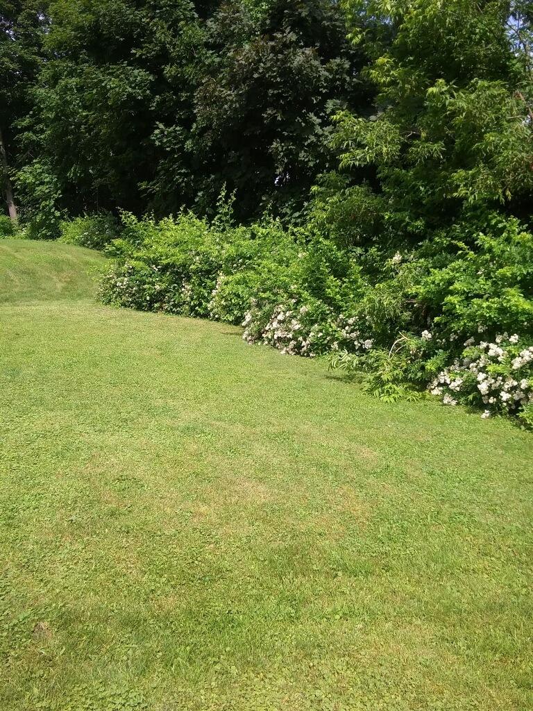 14 Miller Road Woolwich, ME 04579 - Photo 24 of 37 eastside