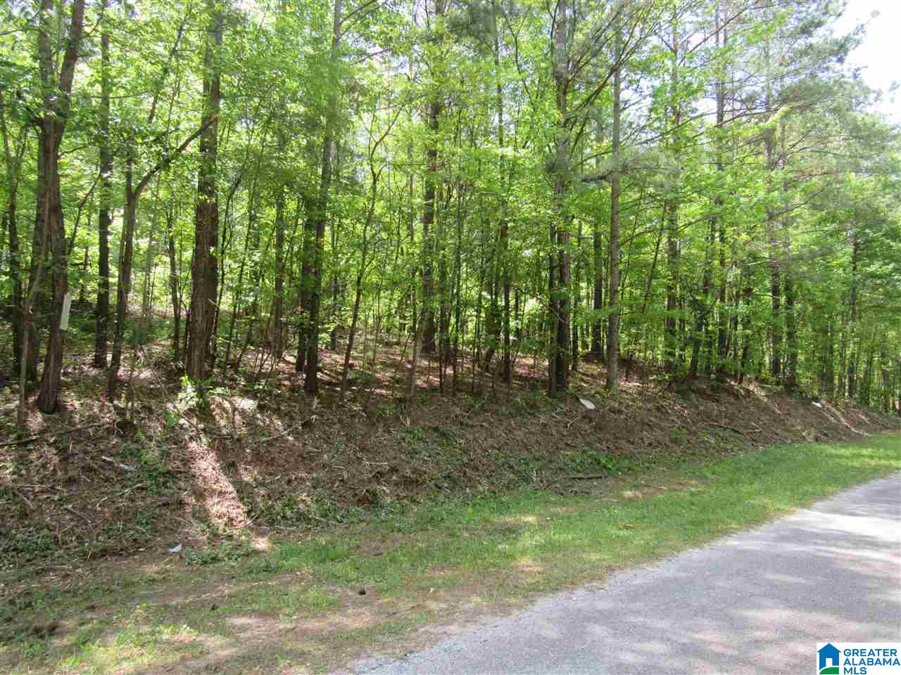 0 County Road 895, Unit 17 ACRES Lineville, AL 36266 - Photo 10 of 30