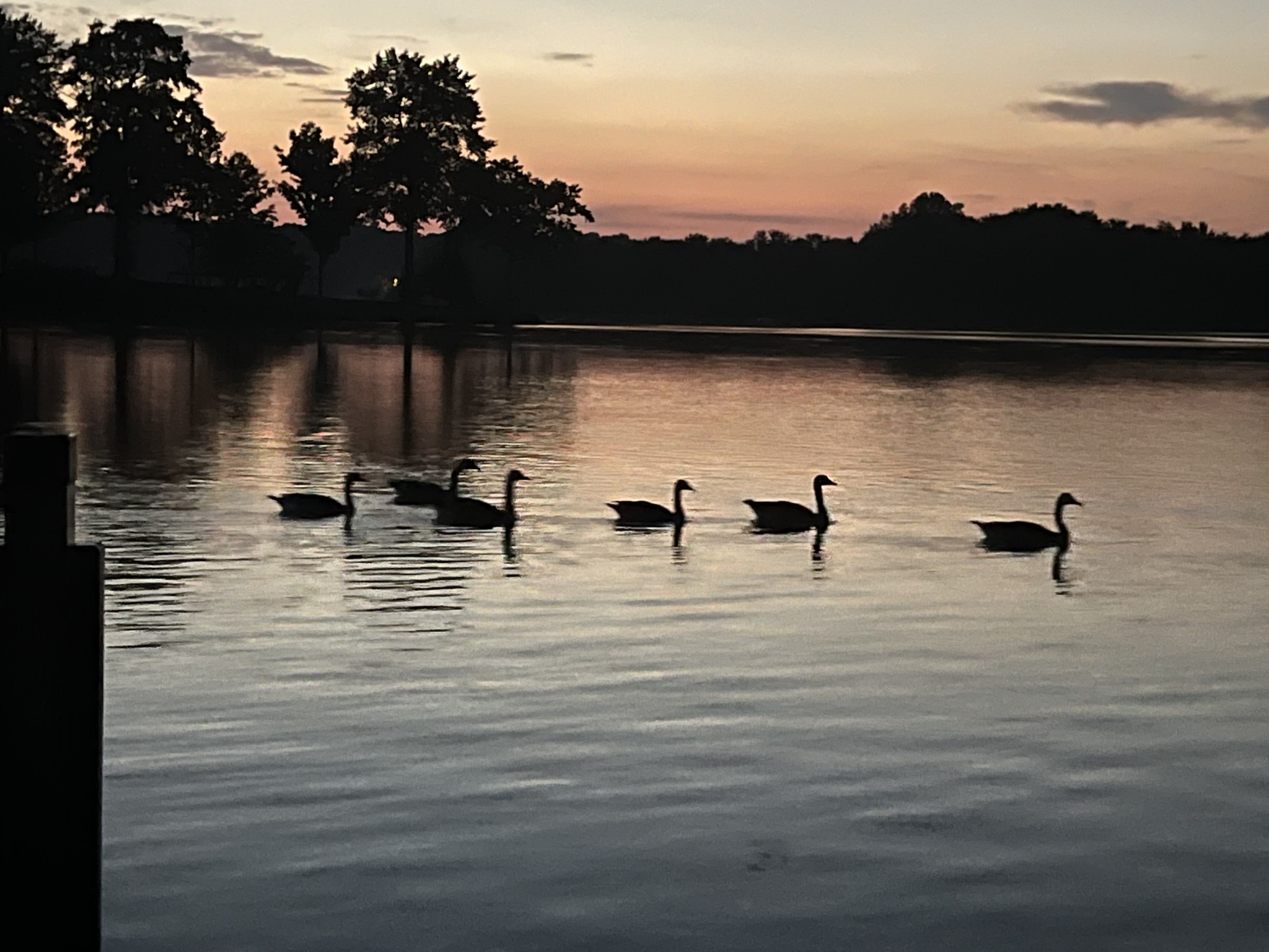 326 Loop Drive Winchester, TN 37398 - Photo 47 of 50 a view of a lake view