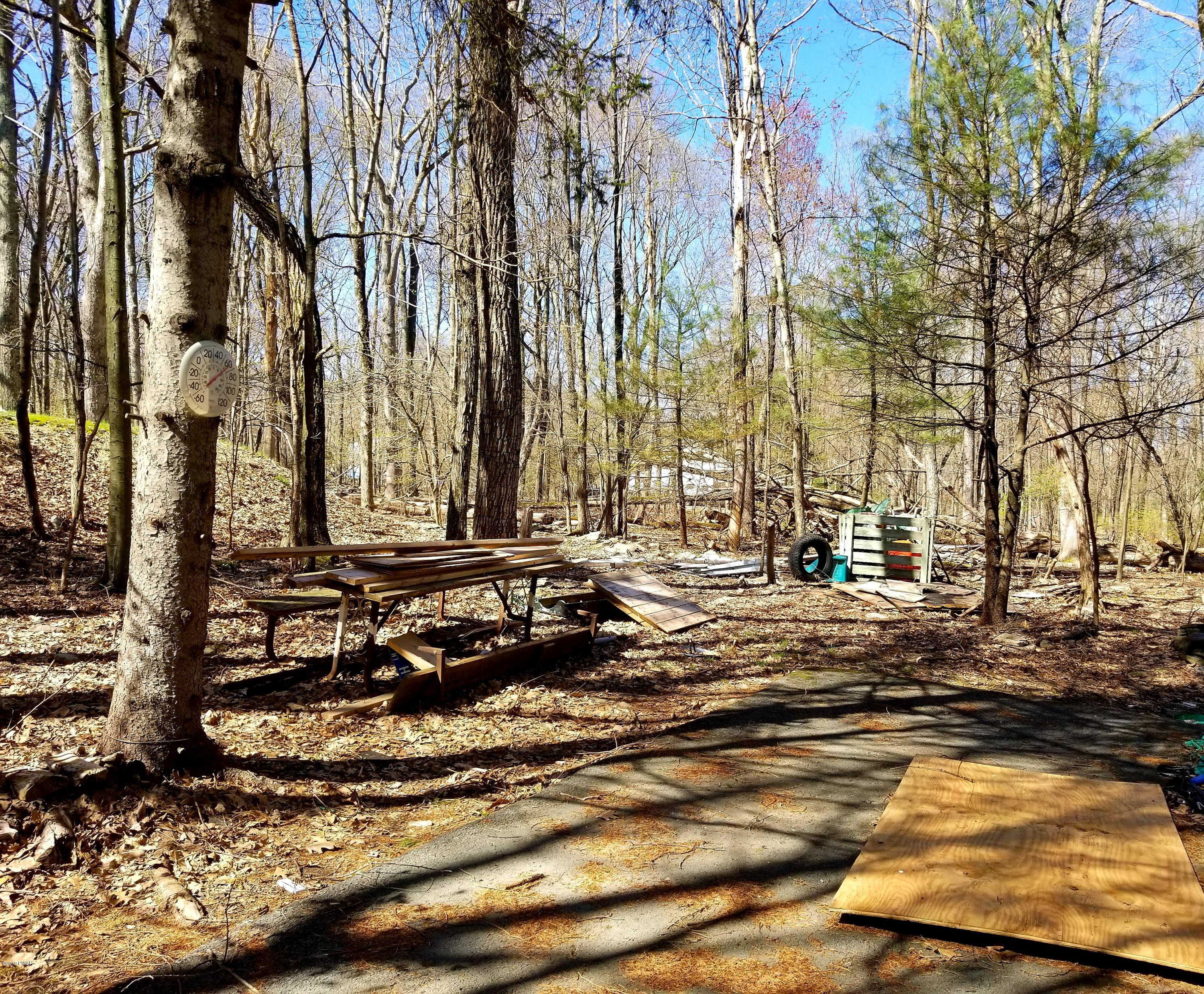 133 Panda Road Dingmans Ferry, PA 18328 - Photo 11 of 11 a view of a yard with trees
