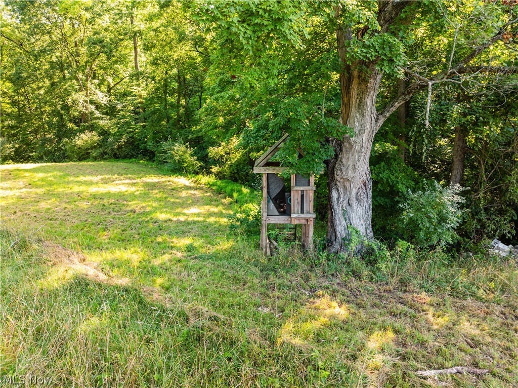 427 Township Road Coshocton, OH 43812 - Photo 41 of 50 Gallery Image 41