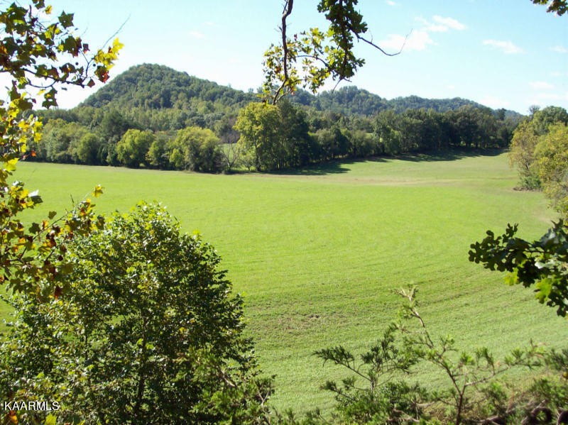 159 Welch Road Tellico Plains, TN 37385 - Photo 28 of 54 a view of an ocean and a mountain