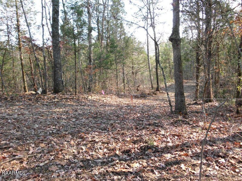 159 Welch Road Tellico Plains, TN 37385 - Photo 48 of 54 a view of outdoor space with trees