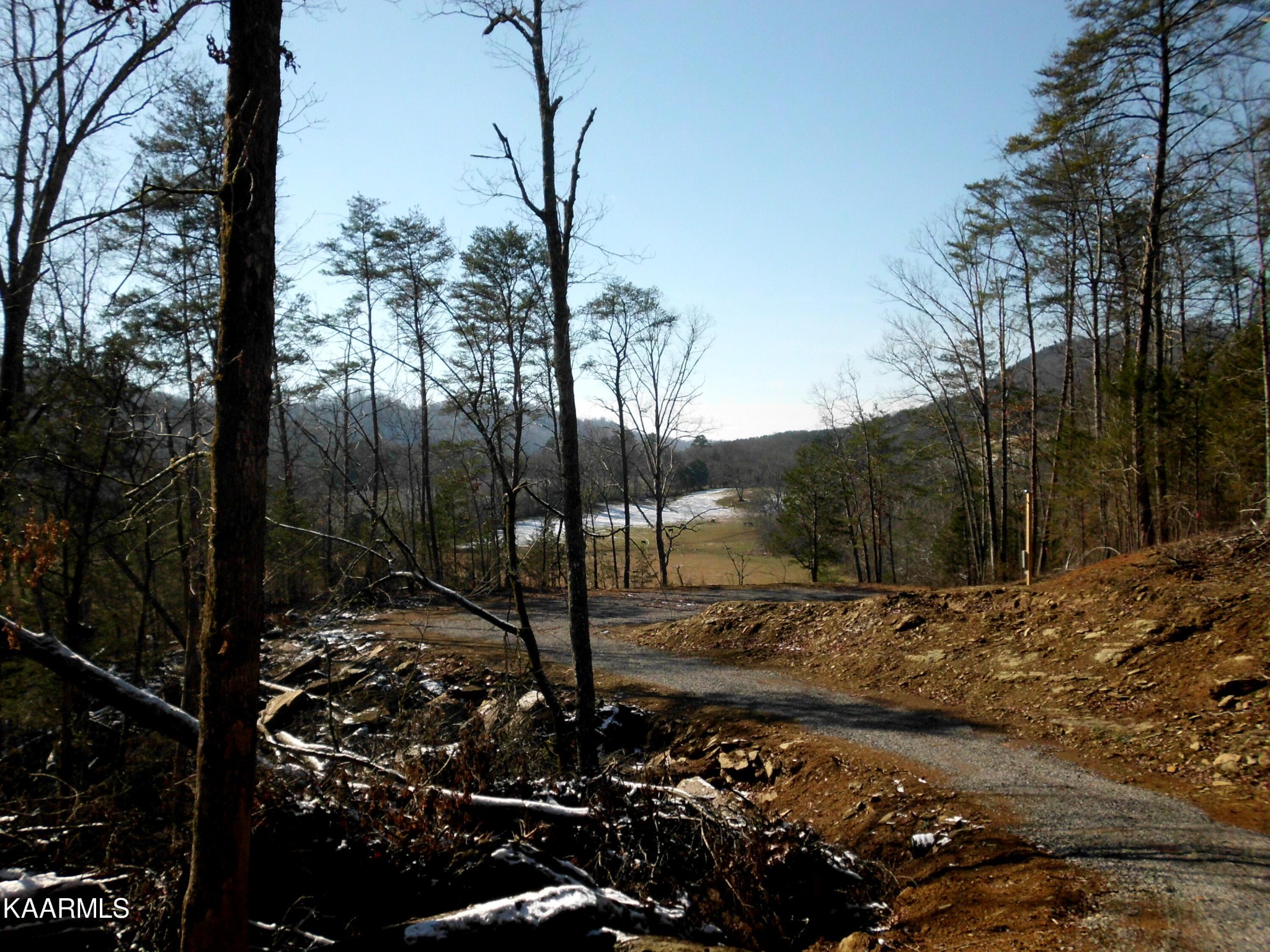 159 Welch Road Tellico Plains, TN 37385 - Photo 8 of 54 a view of a backyard of the house