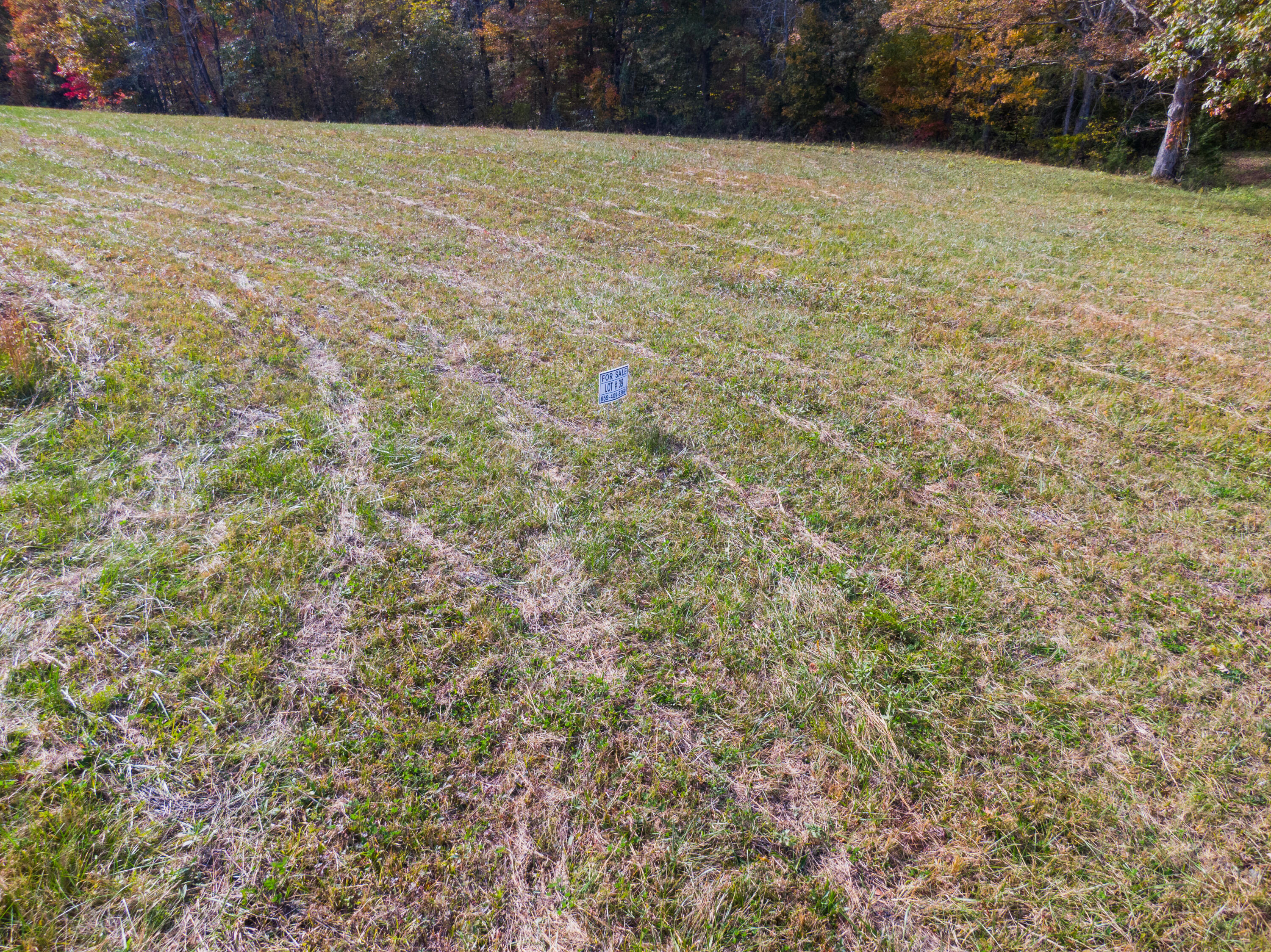 Lot 39 Spring Branch Hollow Road Nancy, KY 42544 - Photo 4 of 6 Nancy Land Photos-15