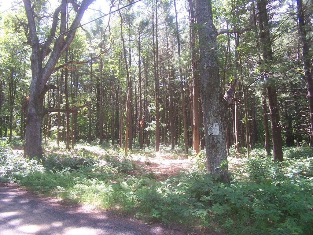 7 Stoddard Road North Brookfield, MA 01535 - Photo 4 of 7 Gallery Image 4