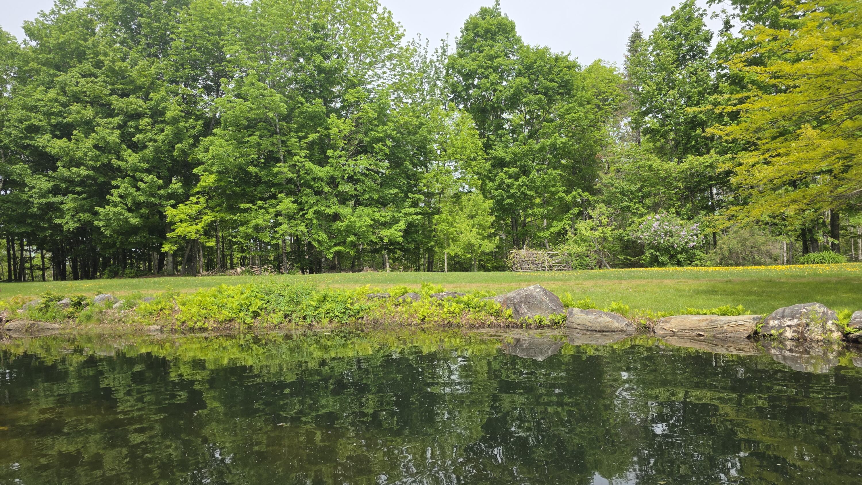 Lot 17 East Thorndike Road Thorndike, ME 04986 - Photo 30 of 31 Pond