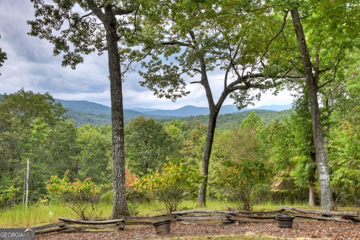344 Cascade Lane Blue Ridge, GA 30513 - Photo 12 of 62 a view of a yard with large trees