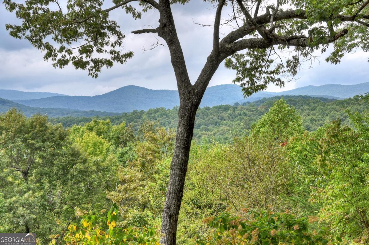 344 Cascade Lane Blue Ridge, GA 30513 - Photo 13 of 62 a view of yard with a tree