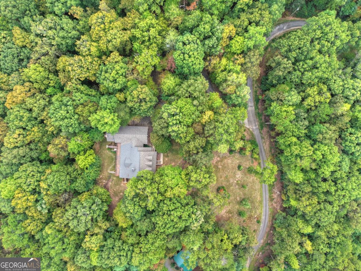 344 Cascade Lane Blue Ridge, GA 30513 - Photo 15 of 62