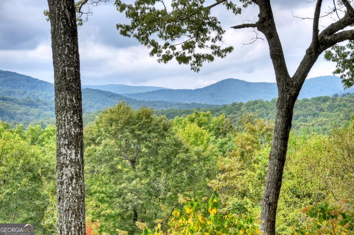 344 Cascade Lane Blue Ridge, GA 30513 - Photo 3 of 62 a view of a garden with a tree