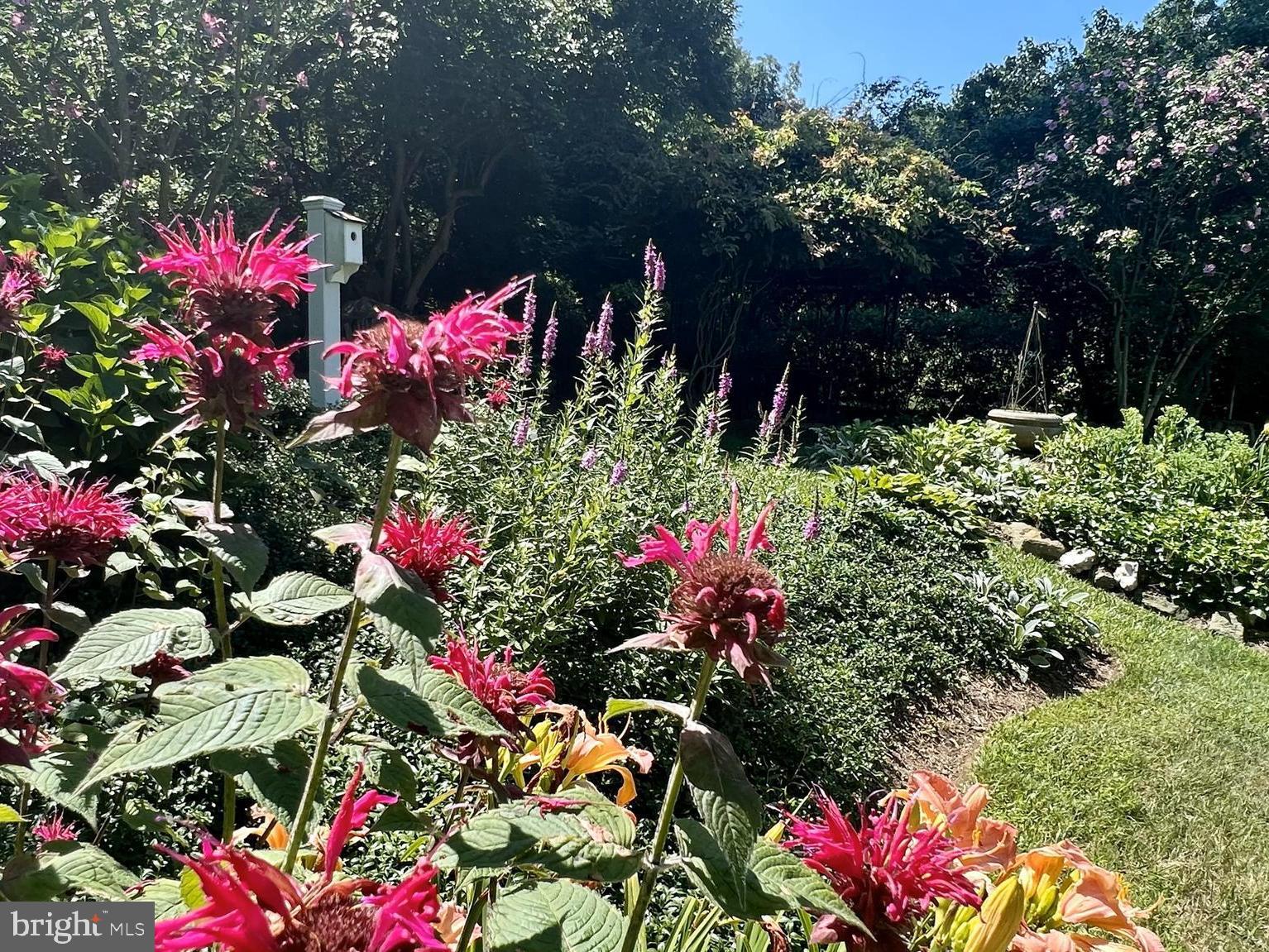 8029 Ridge Road Frederick, MD 21702 - Photo 83 of 91 Dozens of blooms in spring/summer