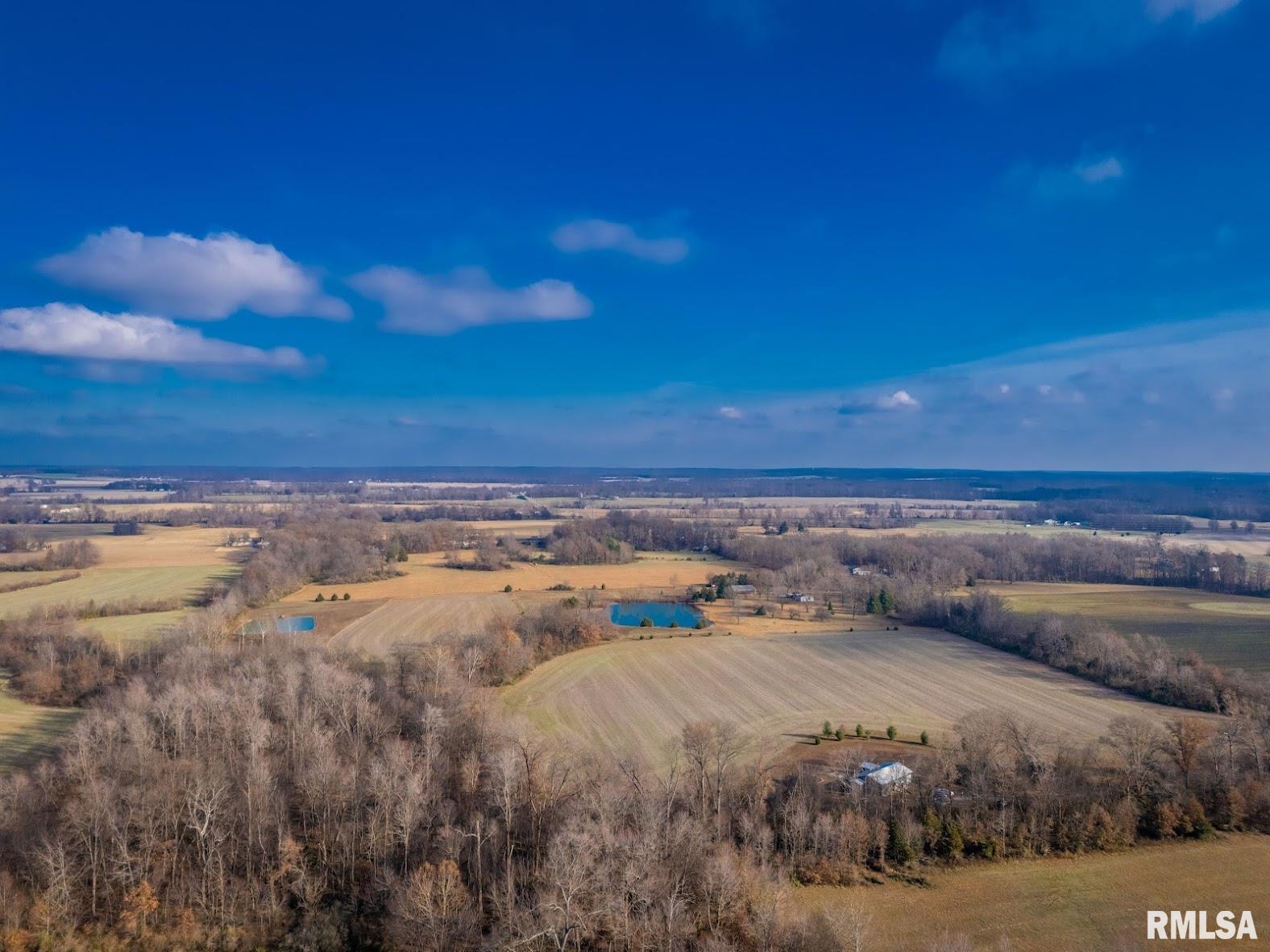 5545 Bolen Store Road Thompsonville, IL 62890 - Photo 41 of 47