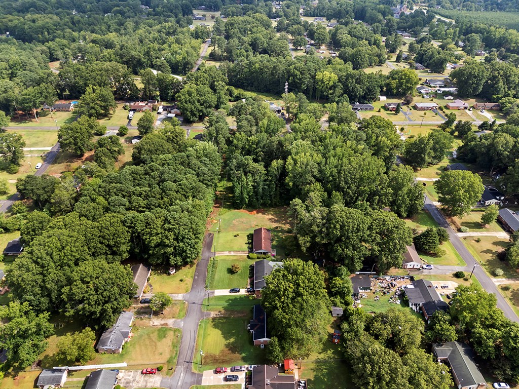 0 Sally Drive Clinton, SC 29325 - Photo 3 of 3