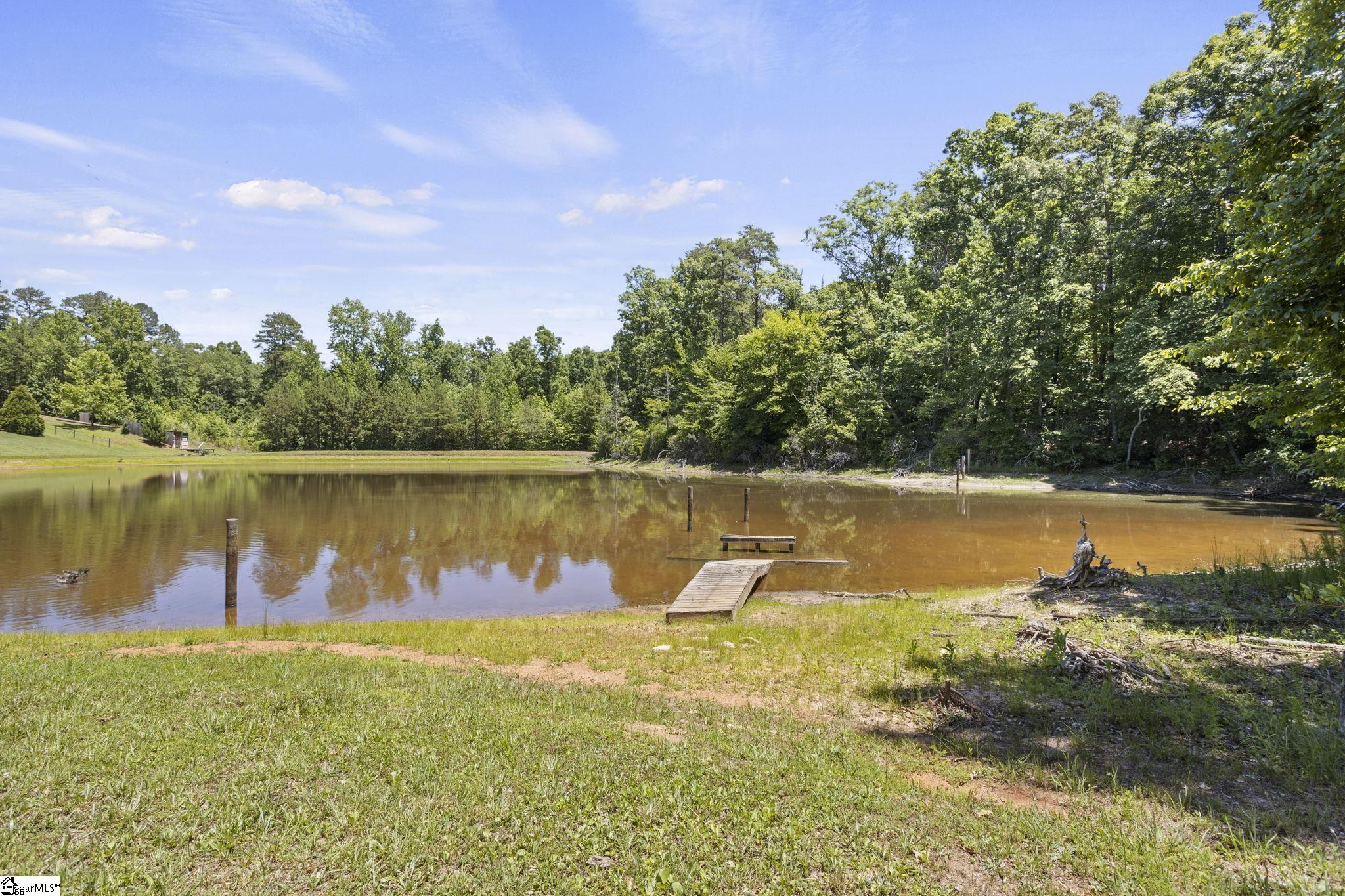 40 Ridings Road Campobello, SC 29322 - Photo 45 of 50