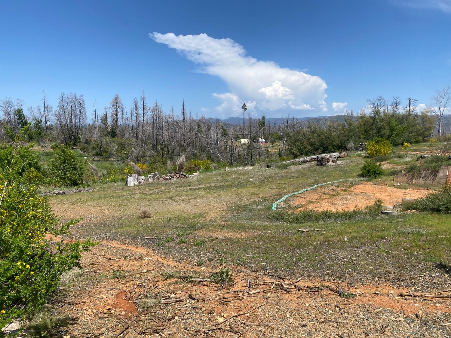 9 Jatko Road Berry Creek, CA 95916 - Photo 11 of 26 a view of a park