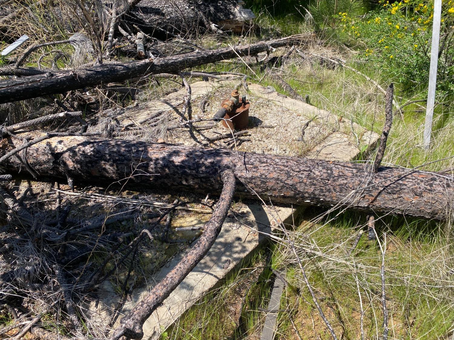 9 Jatko Road Berry Creek, CA 95916 - Photo 12 of 26 a view of an outdoor space with a lake view