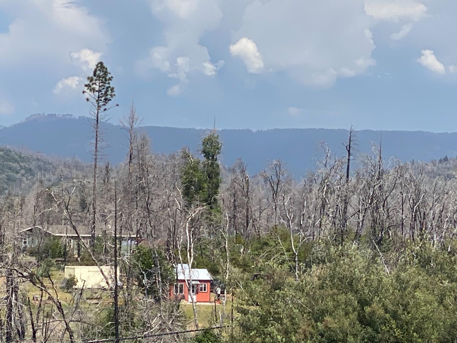 9 Jatko Road Berry Creek, CA 95916 - Photo 14 of 26 a view of a house with a dry yard