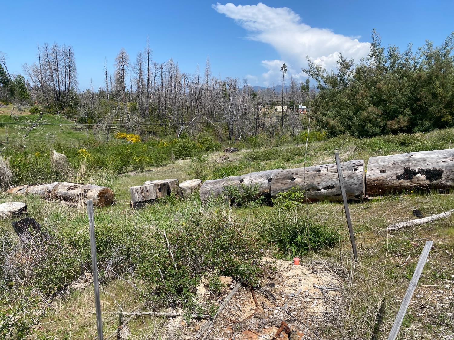 9 Jatko Road Berry Creek, CA 95916 - Photo 4 of 26 a view of a town with large trees