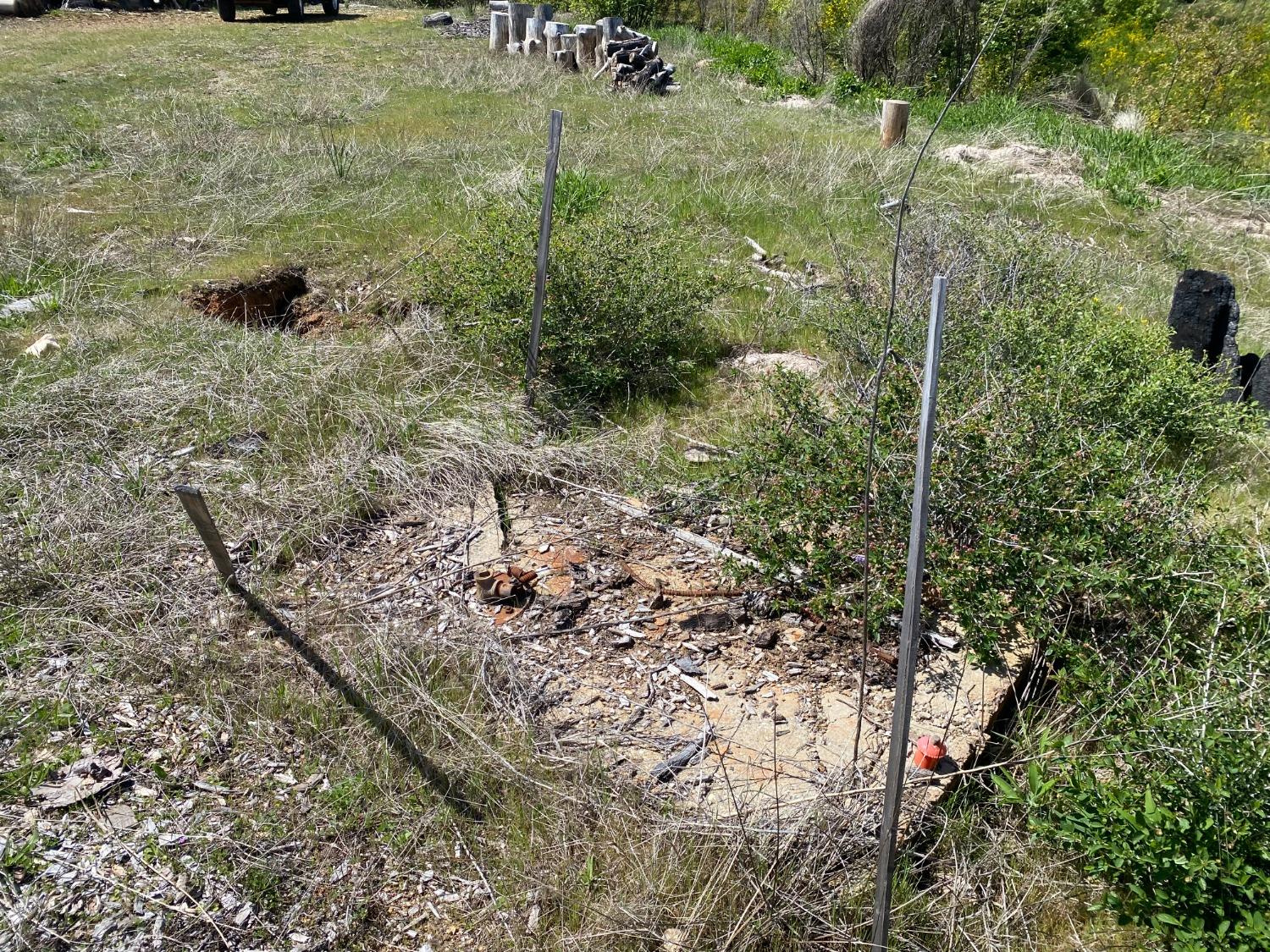 9 Jatko Road Berry Creek, CA 95916 - Photo 7 of 26 a view of a yard with plants and large trees