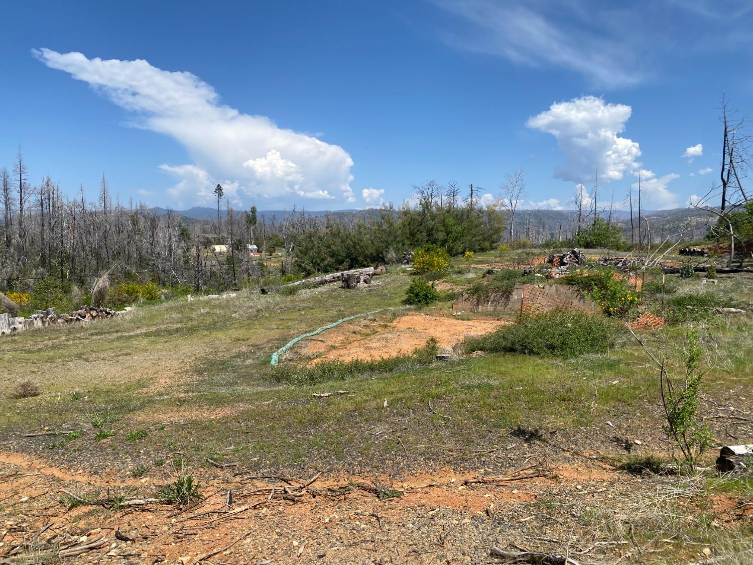 9 Jatko Road Berry Creek, CA 95916 - Photo 9 of 26 a view of a grassy field