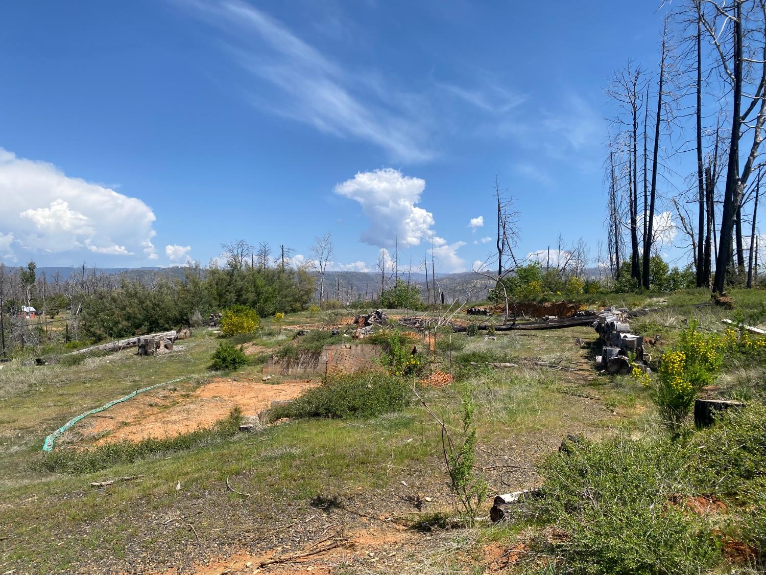 9 Jatko Road Berry Creek, CA 95916 - Photo 10 of 26 a view of a town with large trees