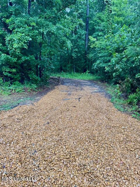 15024 Emory Road West, MS 39192 - Photo 10 of 10 Driveway