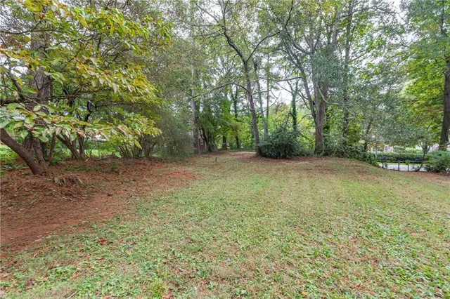 a view of a yard with a tree